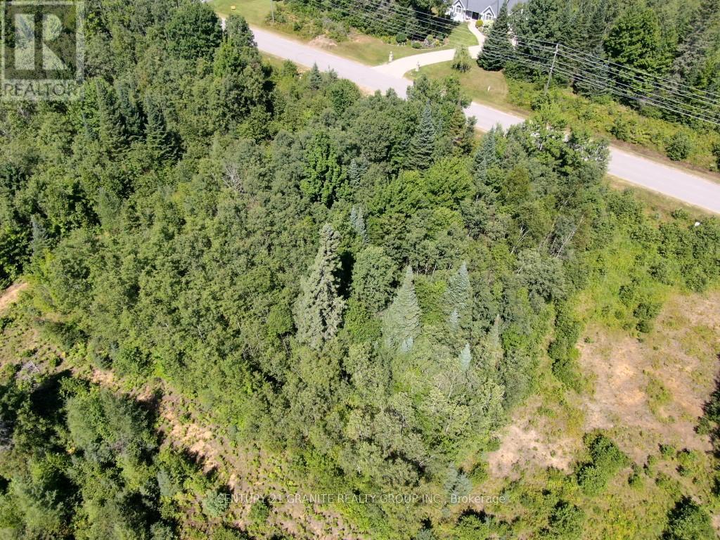 Lot 21 Plan 21m216 Drive, Bancroft, Ontario  K0L 1C0 - Photo 9 - X9245123