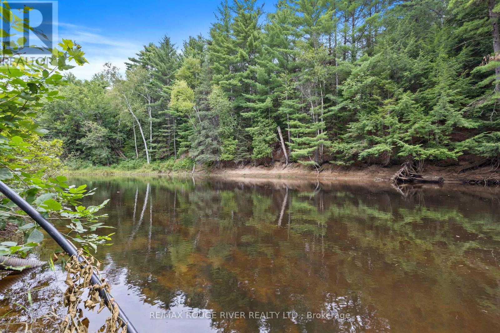 39 Hobo Lane, Bancroft, Ontario  K0L 1C0 - Photo 32 - X9249880