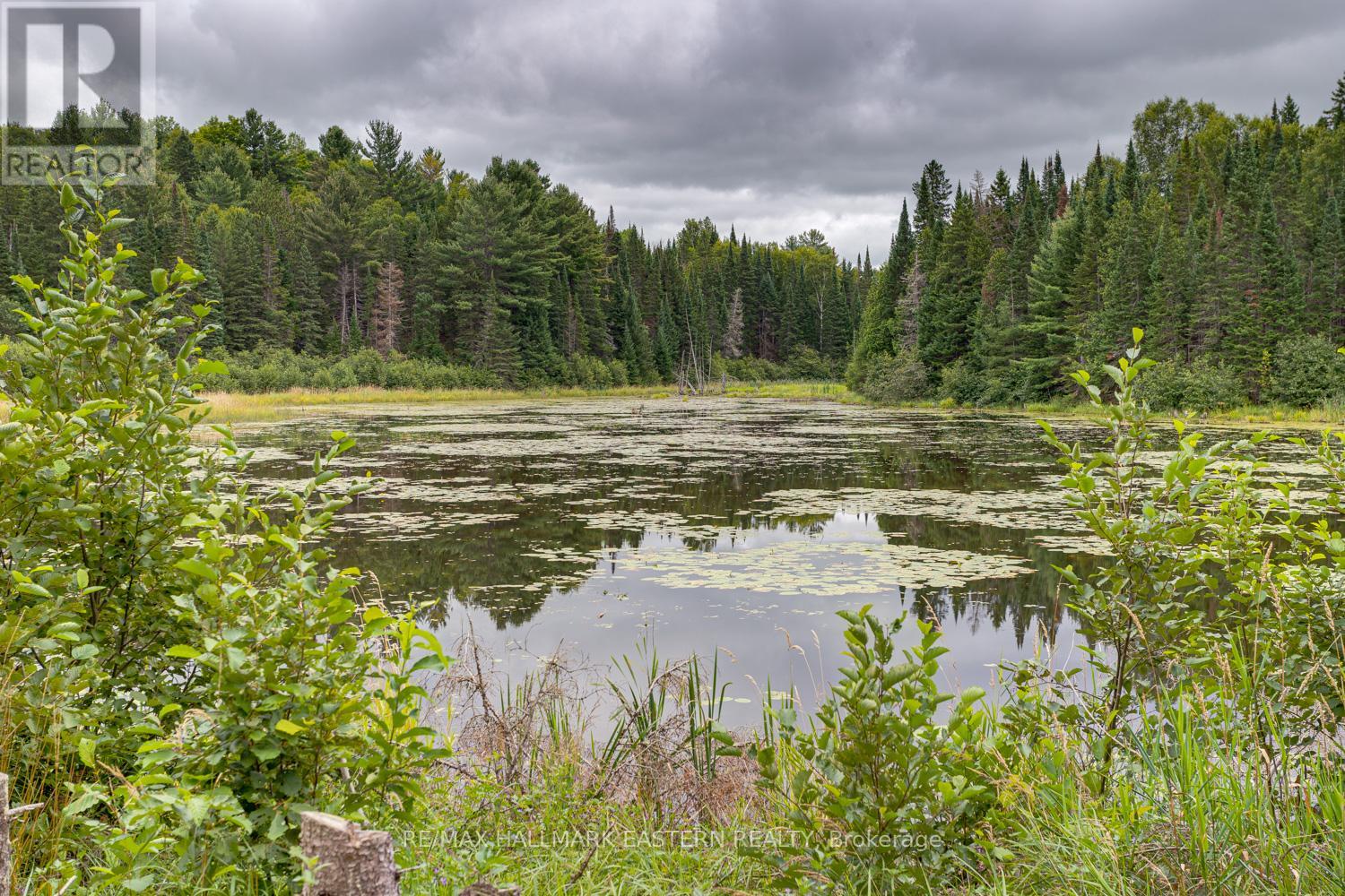 601 Old Detlor Road, Bancroft, Ontario  K0L 2L0 - Photo 21 - X9258054