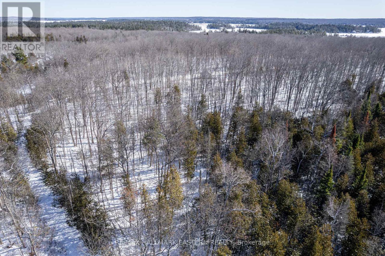 0 Hwy 28, Smith-Ennismore-Lakefield, Ontario  K0L 2H0 - Photo 16 - X9260369