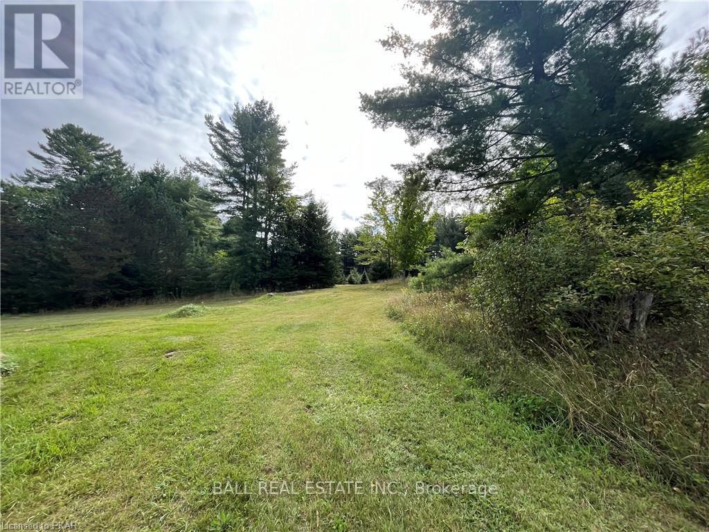 8786 Hwy 28, North Kawartha, Ontario  K0L 1A0 - Photo 21 - X9264073