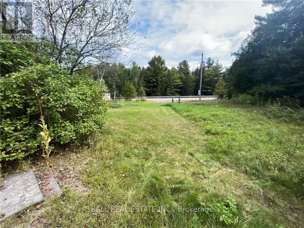 8786 Hwy 28, North Kawartha, Ontario  K0L 1A0 - Photo 27 - X9264073