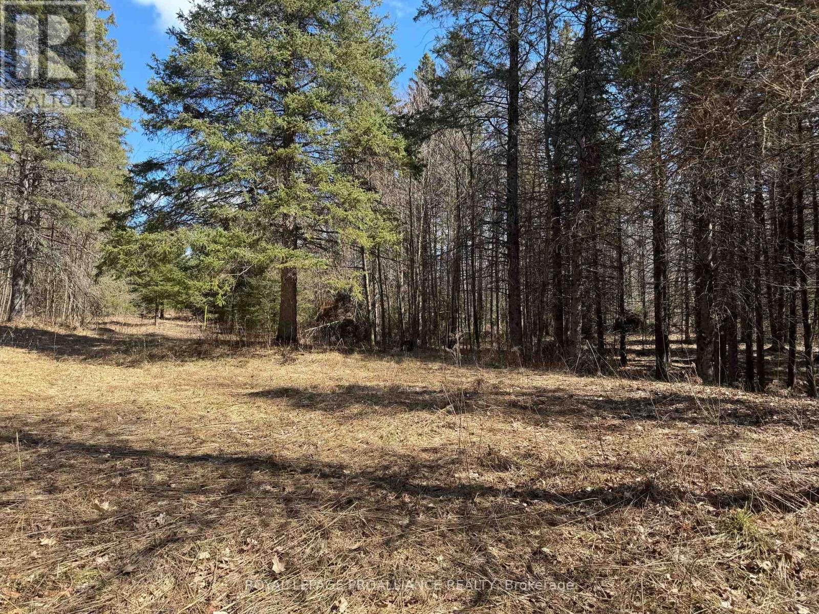 1972 Weslemkoon Lake Road, Tudor & Cashel, Ontario  K0L 1W0 - Photo 11 - X9284626