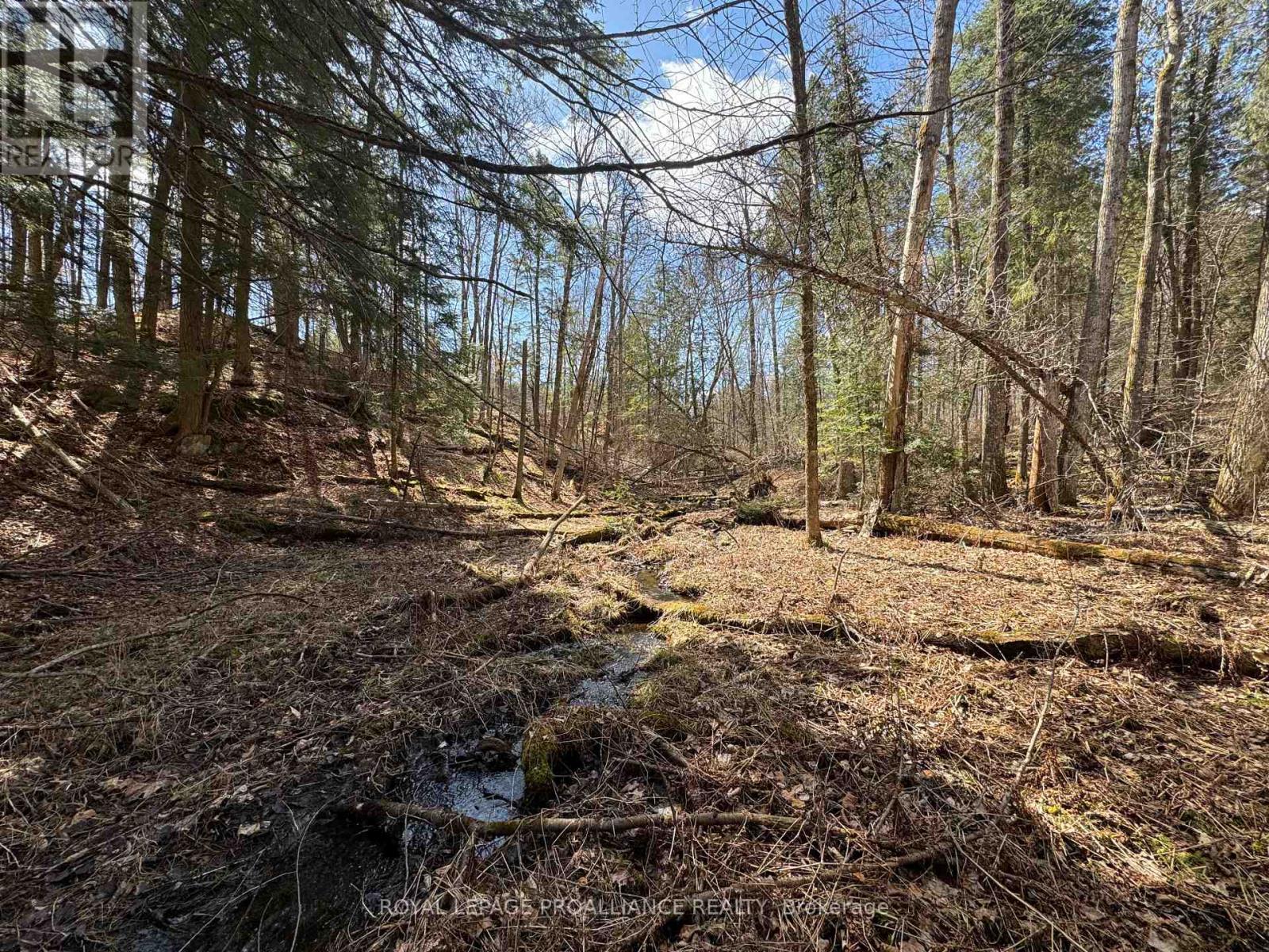 1972 Weslemkoon Lake Road, Tudor & Cashel, Ontario  K0L 1W0 - Photo 14 - X9284626