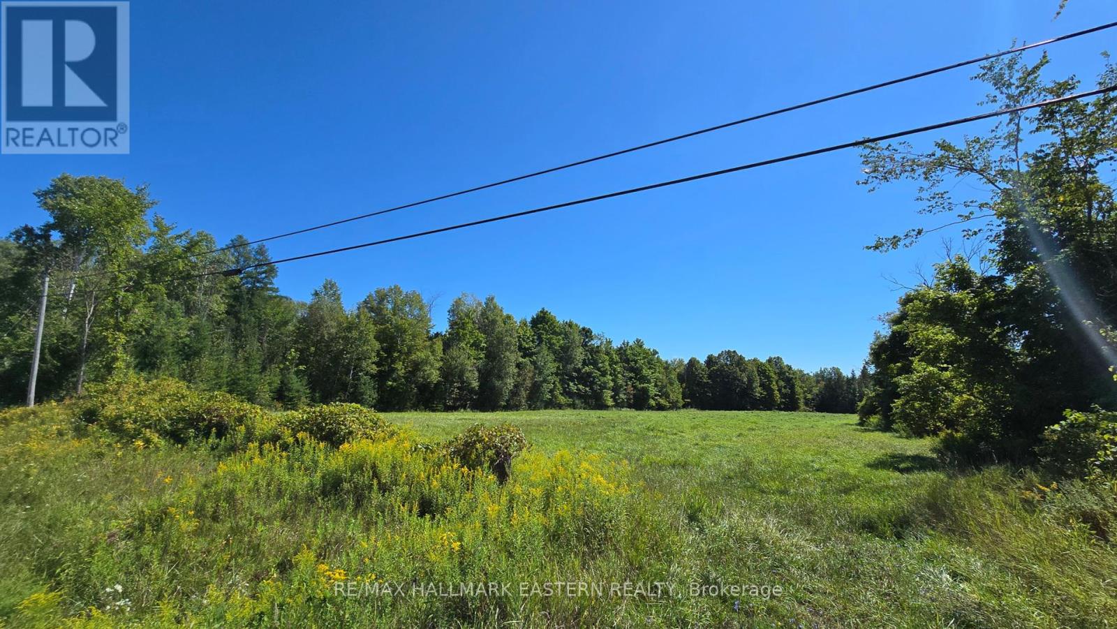 N/a County 48 Road, Havelock-Belmont-Methuen, Ontario  K0L 1Z0 - Photo 5 - X9284870