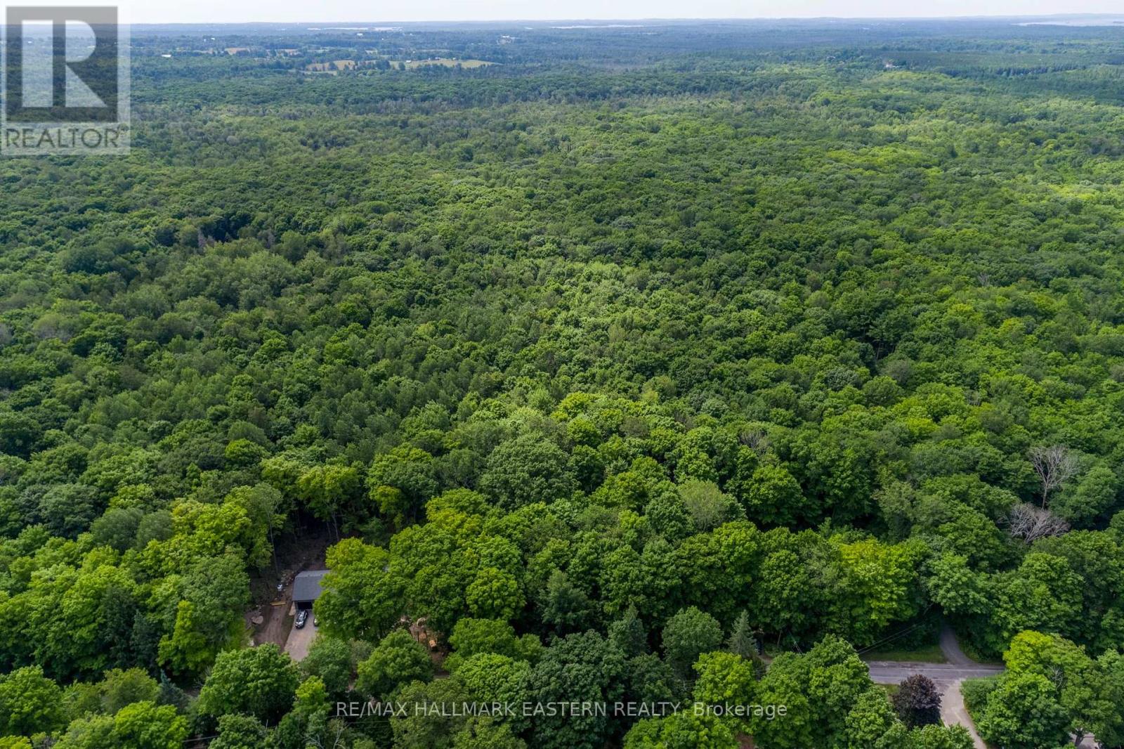 0 Teds Lane, Galway-Cavendish And Harvey, Ontario  K0L 1J0 - Photo 15 - X9309462