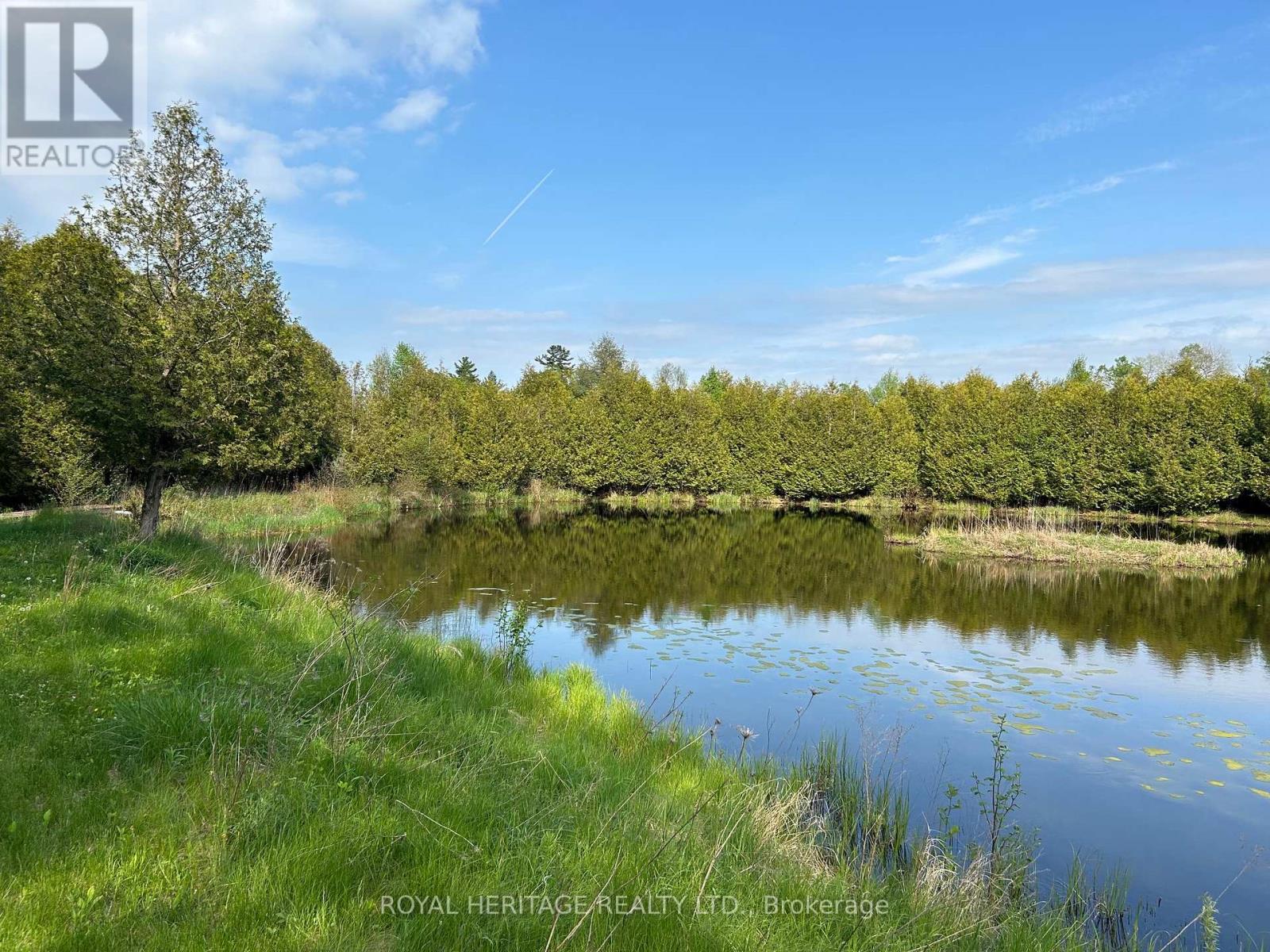 810 4th Line, Douro-Dummer, Ontario  K0L 3E0 - Photo 28 - X9341511