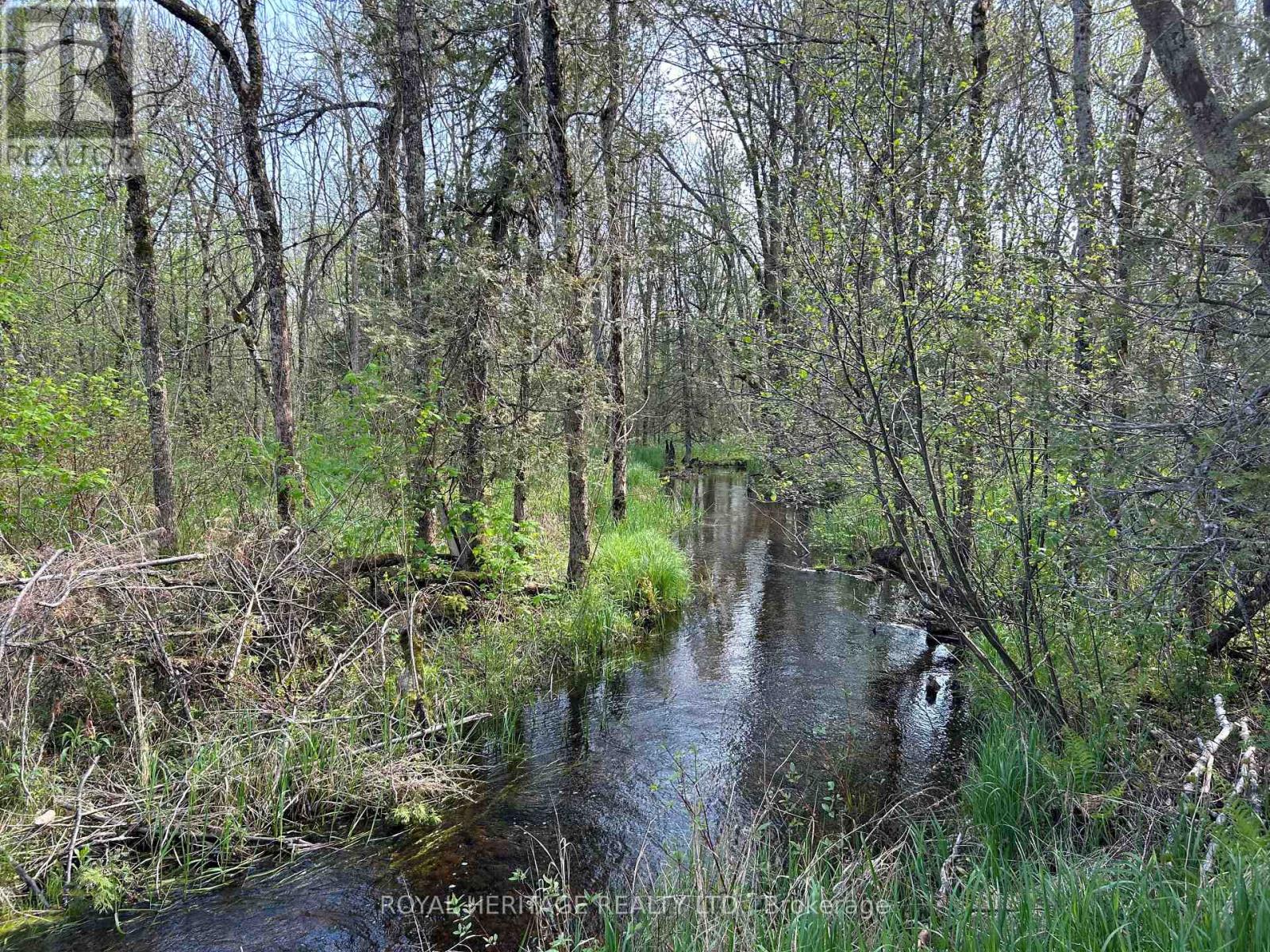 810 4th Line, Douro-Dummer, Ontario  K0L 3E0 - Photo 33 - X9341511