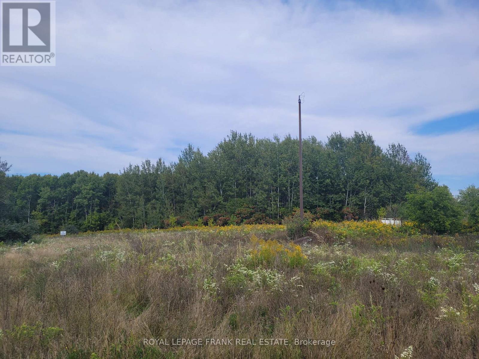 4148 Highway #2, Clarington, Ontario  L1B 1L9 - Photo 11 - E9351577