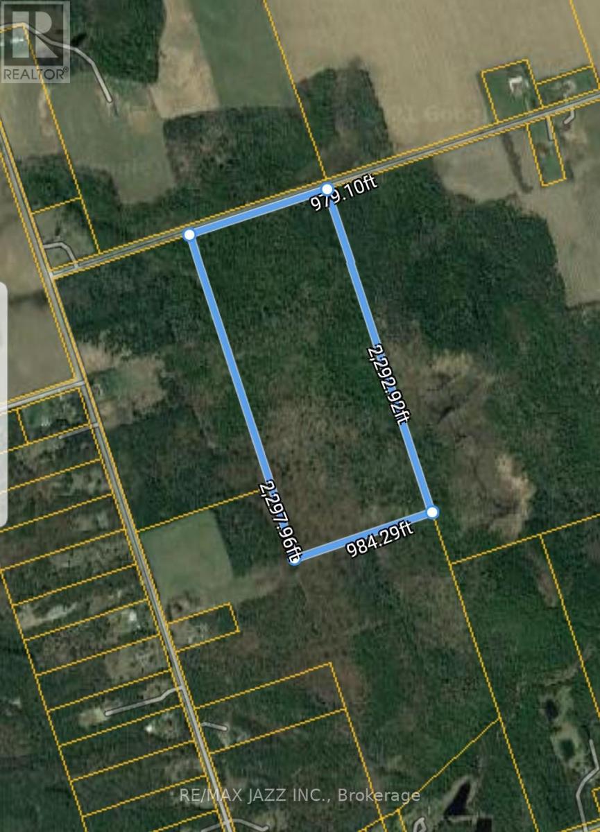 0 Ballyduff Road, Kawartha Lakes, Ontario  L0A 1K0 - Photo 1 - X9351657