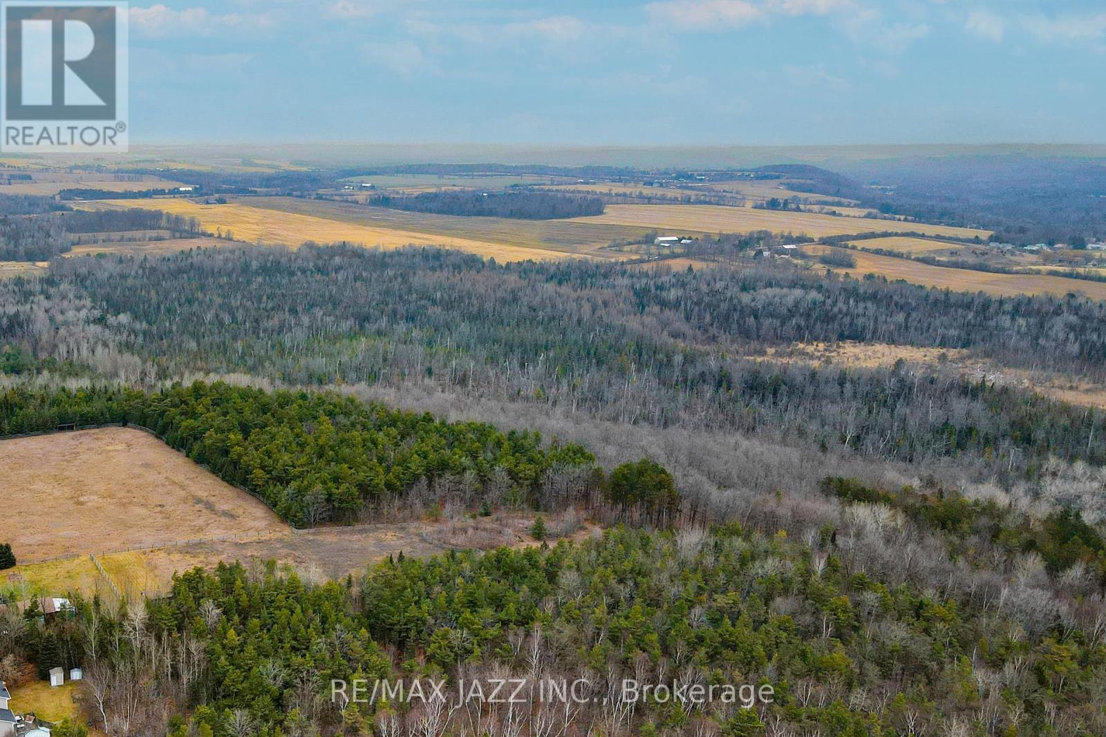 0 Ballyduff Road, Kawartha Lakes, Ontario  L0A 1K0 - Photo 10 - X9351657