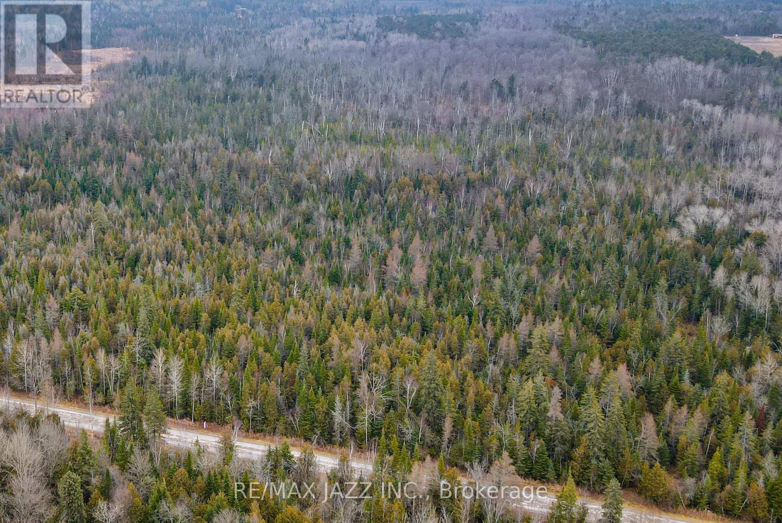 0 Ballyduff Road, Kawartha Lakes, Ontario  L0A 1K0 - Photo 14 - X9351657