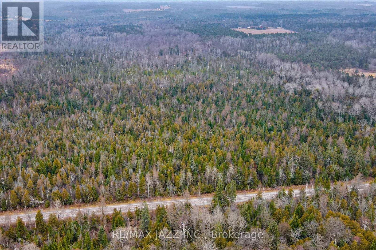 0 Ballyduff Road, Kawartha Lakes, Ontario  L0A 1K0 - Photo 16 - X9351657