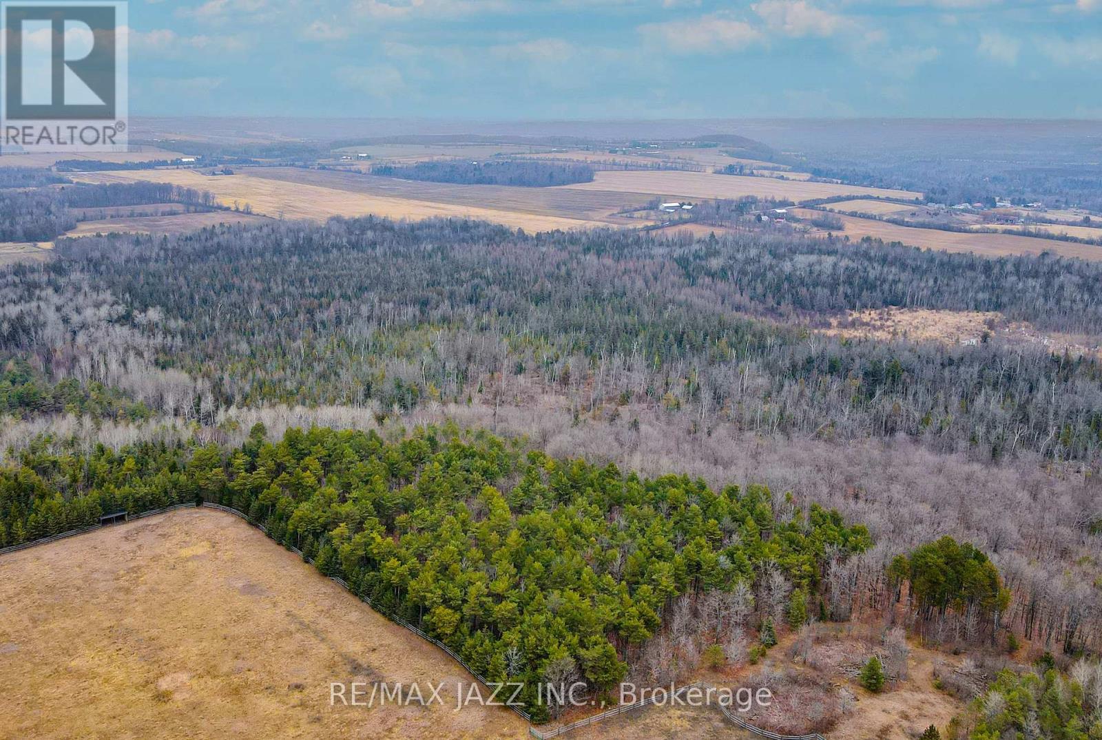 0 Ballyduff Road, Kawartha Lakes, Ontario  L0A 1K0 - Photo 6 - X9351657