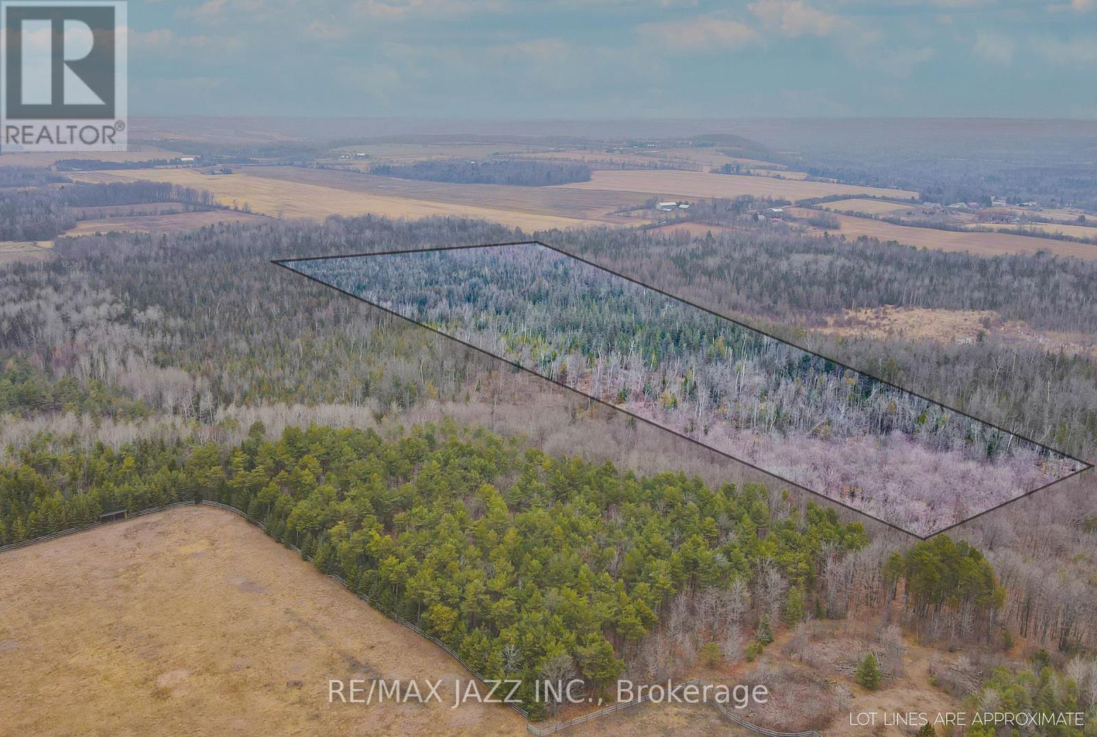 0 Ballyduff Road, Kawartha Lakes, Ontario  L0A 1K0 - Photo 7 - X9351657