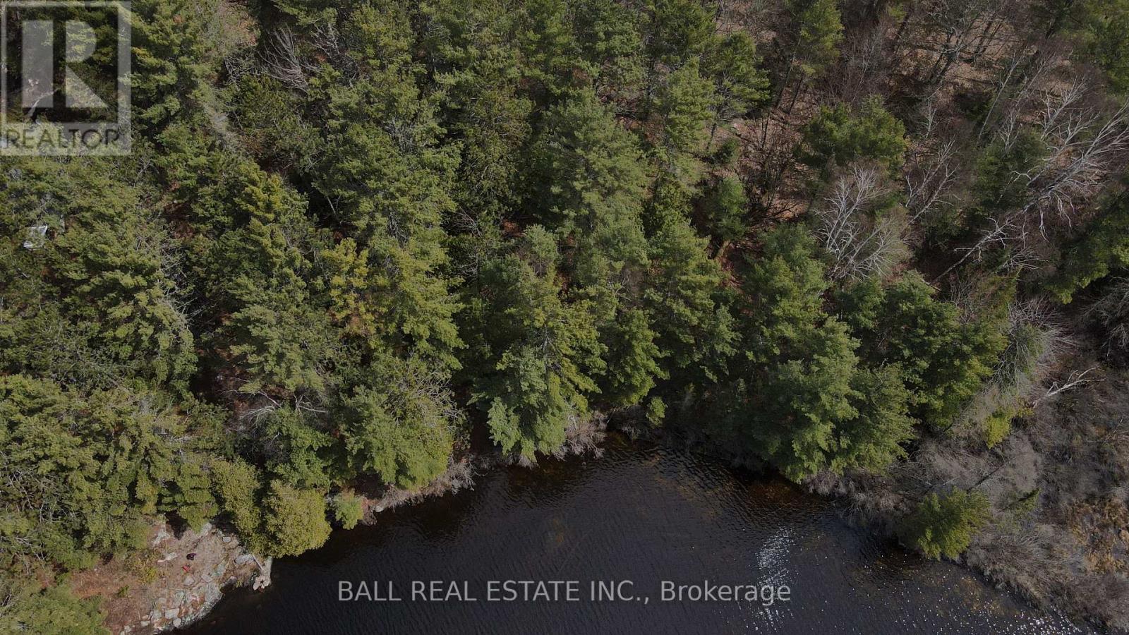 Lot 15 Con 15, Highlands East, Ontario  K0L 2A0 - Photo 14 - X9359765