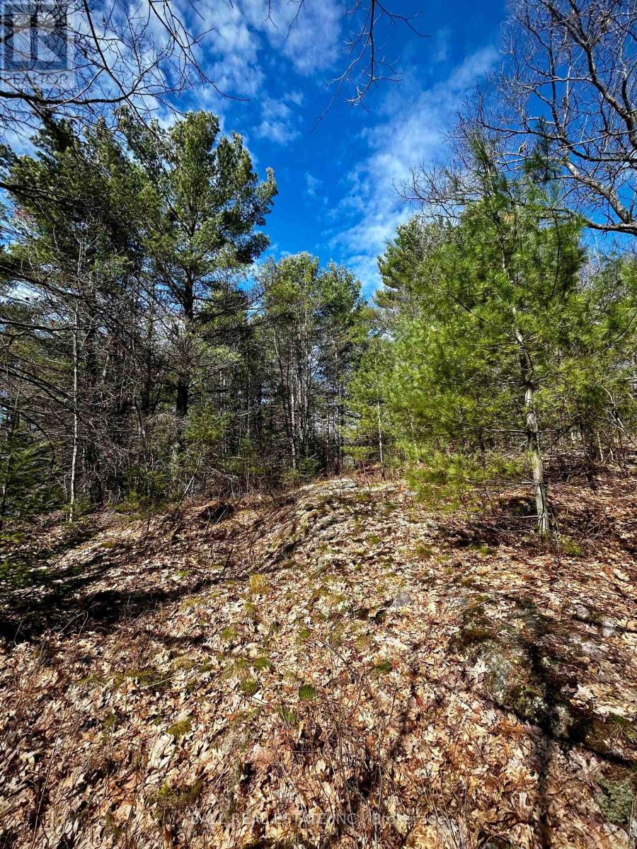 Lot 15 Con 15, Highlands East, Ontario  K0L 2A0 - Photo 7 - X9359765