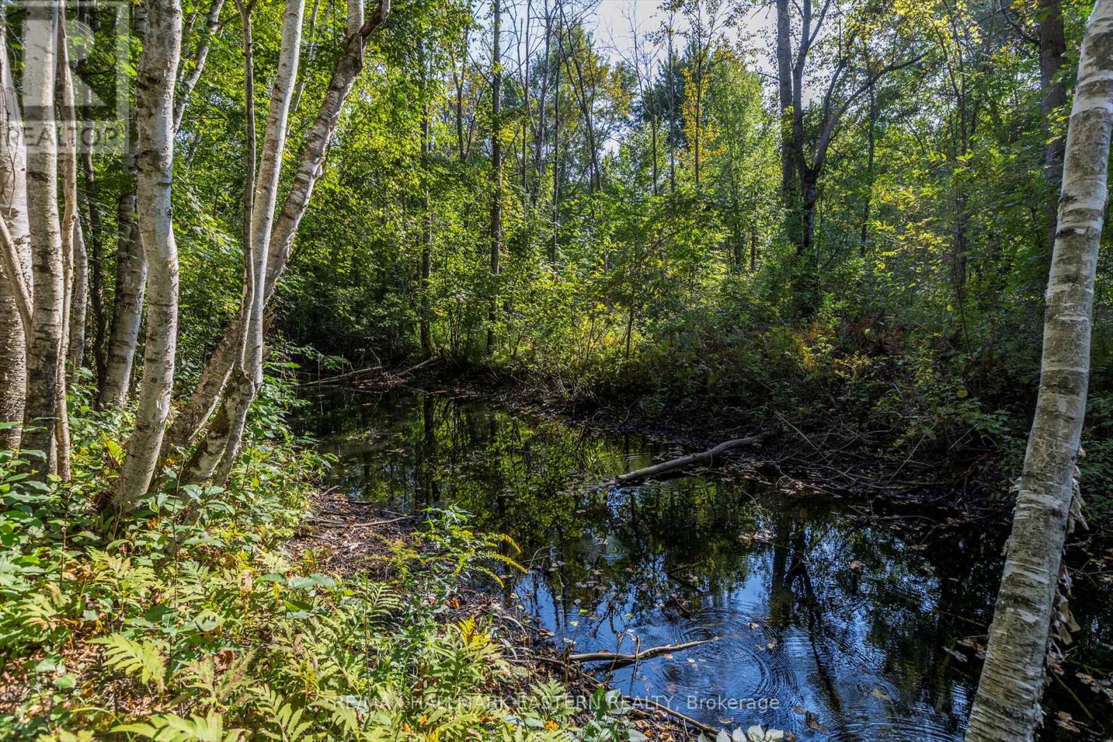 Lot 13 Trent River Road, Trent Hills, Ontario  K0L 1Z0 - Photo 19 - X9363977