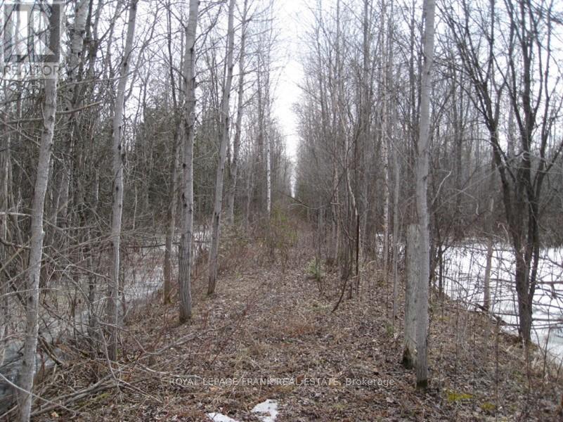 0 Mervin Line, Cavan Monaghan, Ontario  K9J 6Z9 - Photo 2 - X9366616