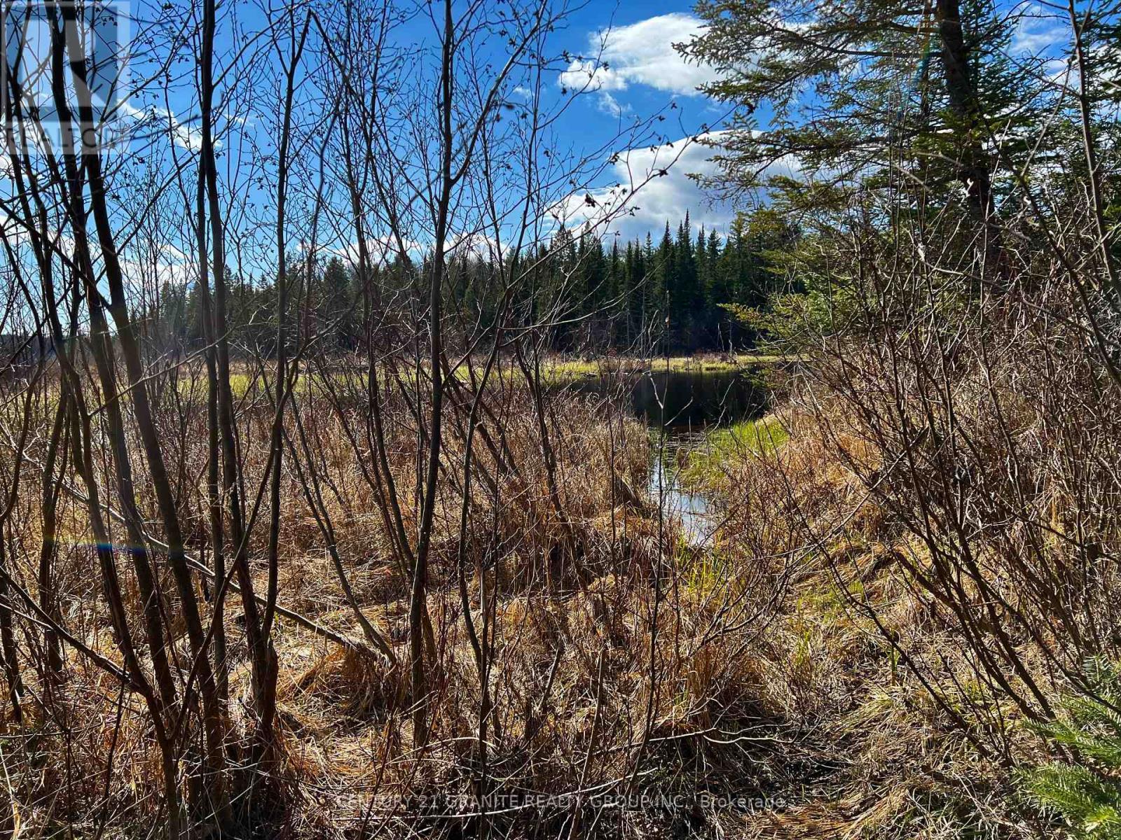 793 Cameron Road, Faraday, Ontario  K0L 1P0 - Photo 14 - X9366795