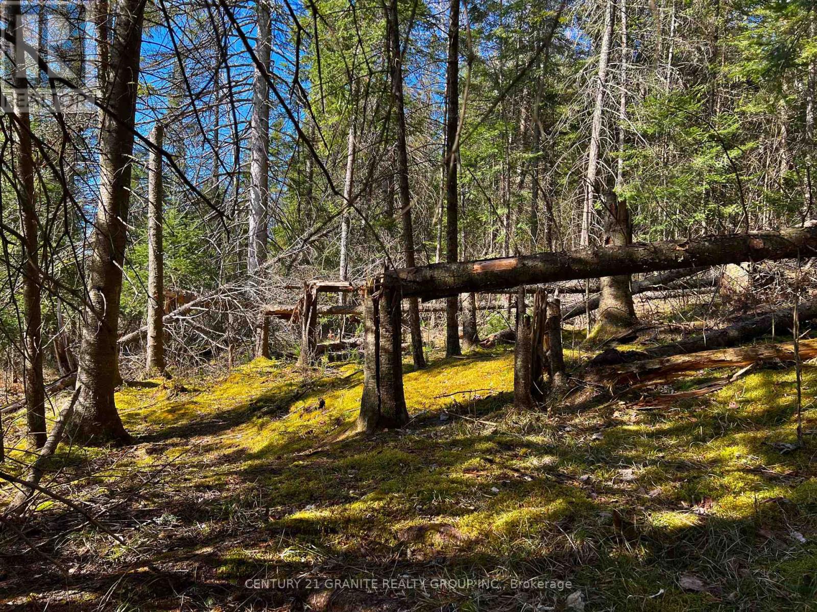 793 Cameron Road, Faraday, Ontario  K0L 1P0 - Photo 17 - X9366795