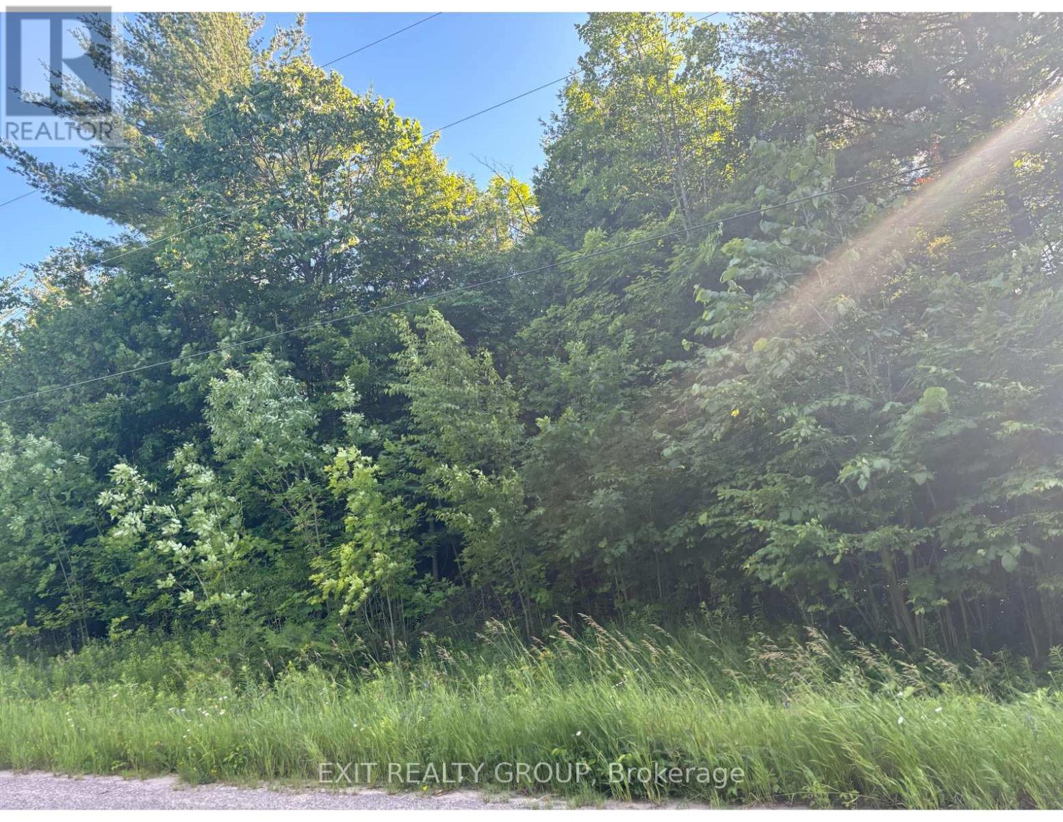 Lot 35 Viewmount Avenue, Trent Hills, Ontario  K0L 1Z0 - Photo 11 - X9390043