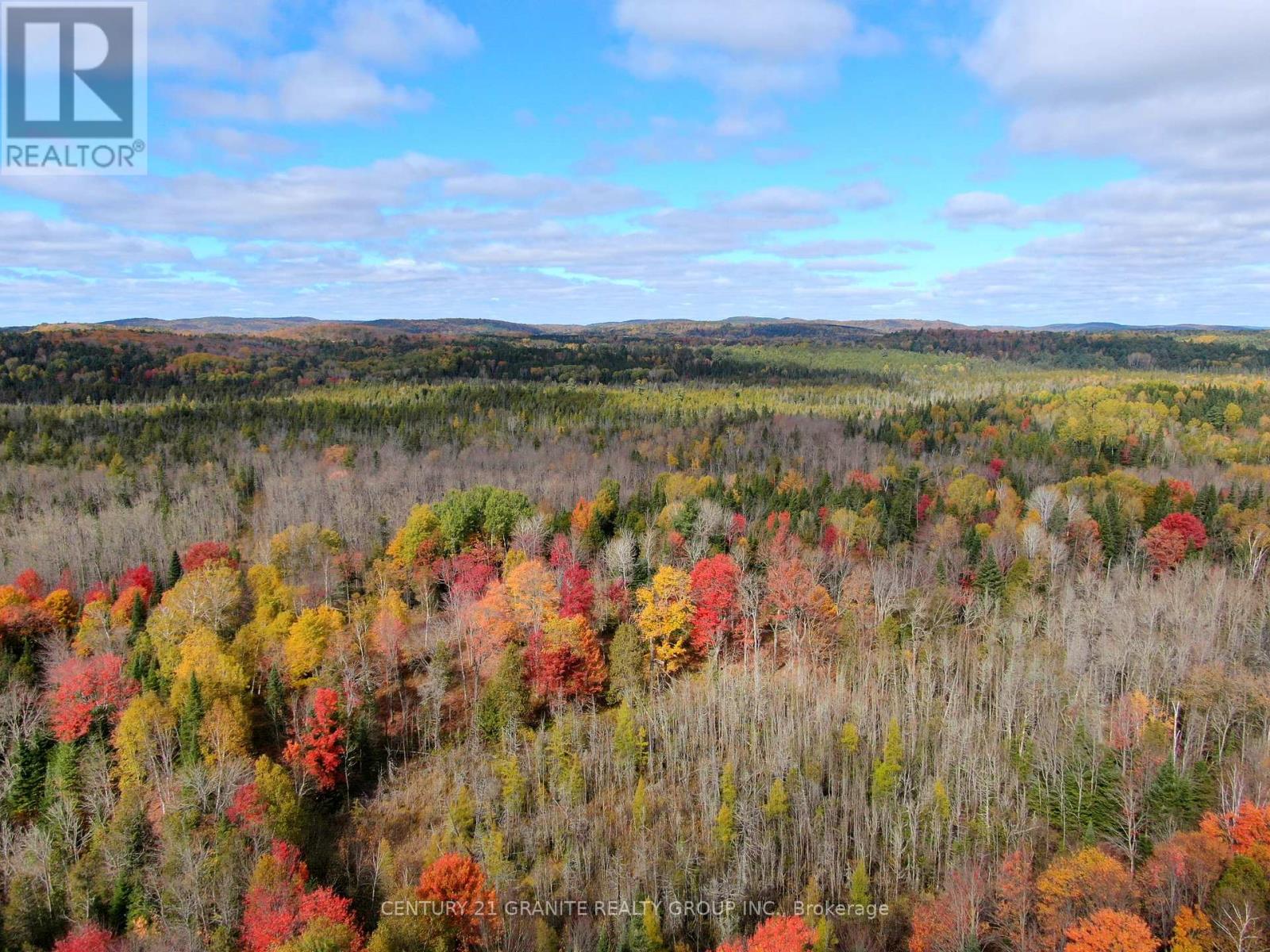 0 Detlor Road, Bancroft, Ontario  K0L 2L0 - Photo 10 - X9391655