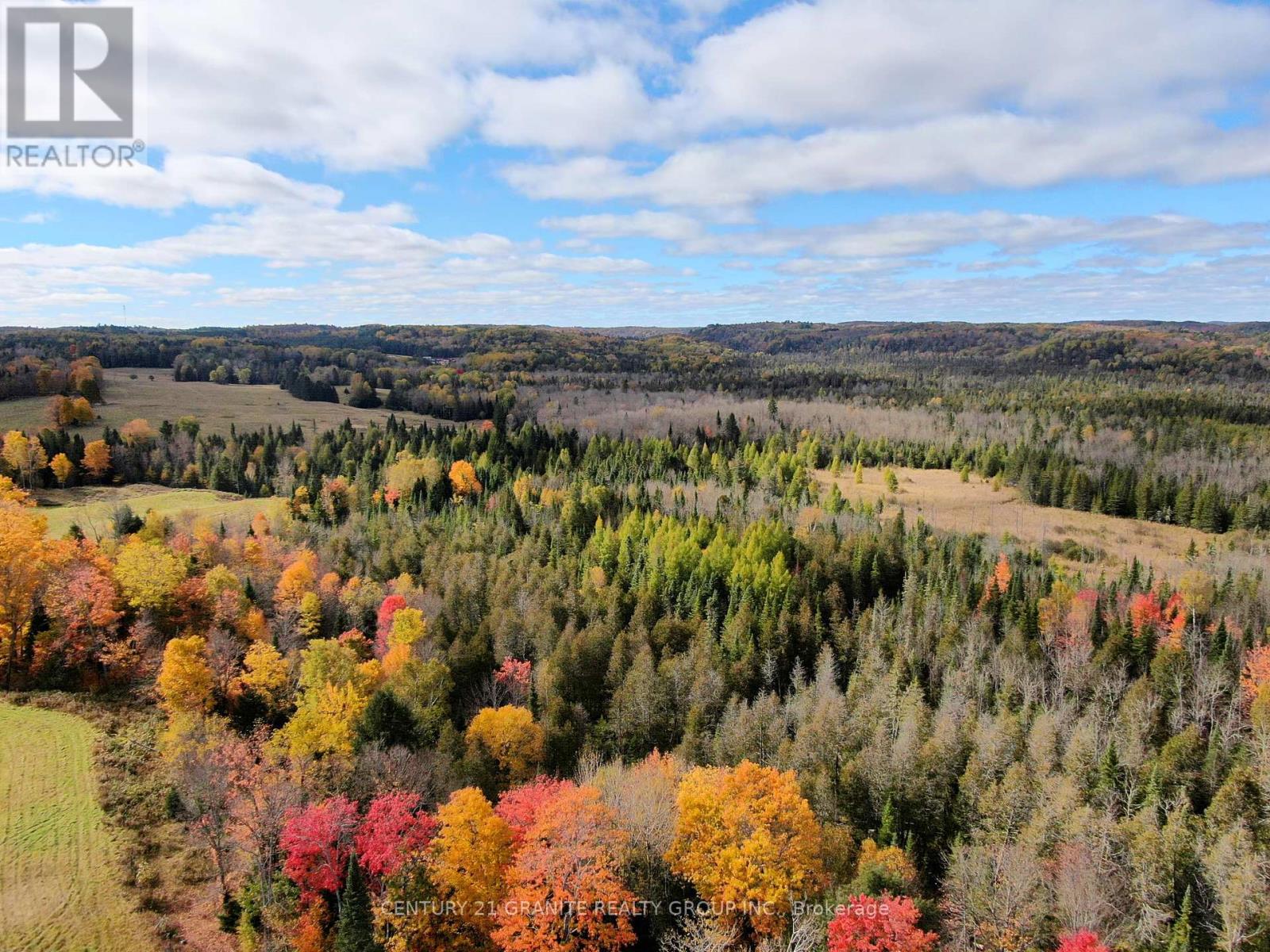 0 Detlor Road, Bancroft, Ontario  K0L 2L0 - Photo 11 - X9391655