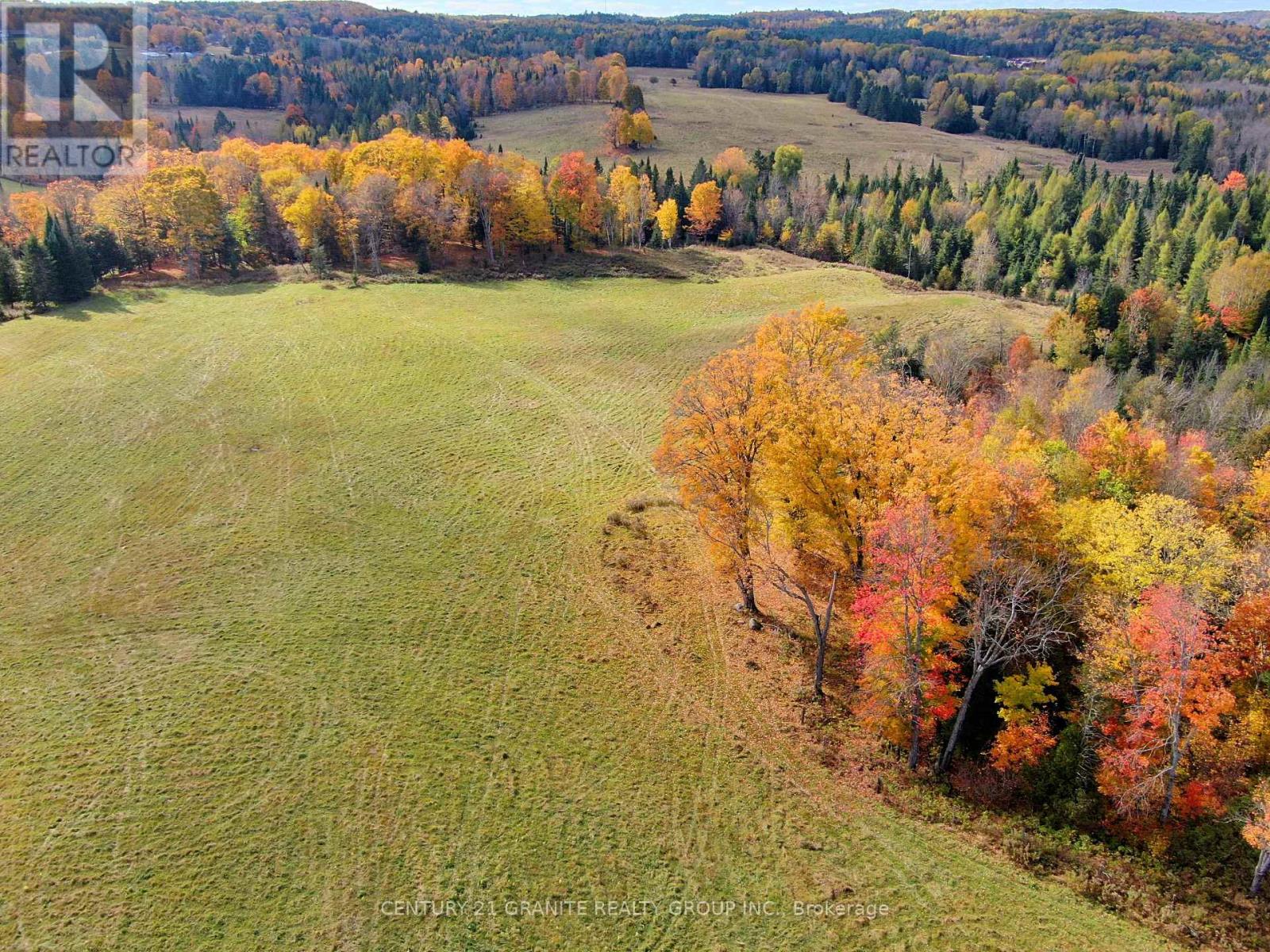 0 Detlor Road, Bancroft, Ontario  K0L 2L0 - Photo 14 - X9391655