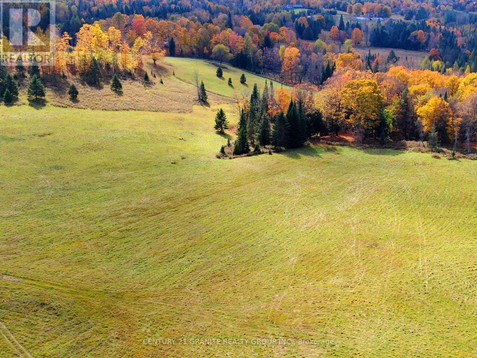 0 Detlor Road, Bancroft, Ontario  K0L 2L0 - Photo 15 - X9391655