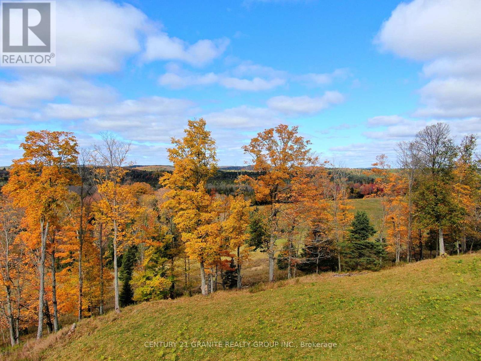 0 Detlor Road, Bancroft, Ontario  K0L 2L0 - Photo 20 - X9391655