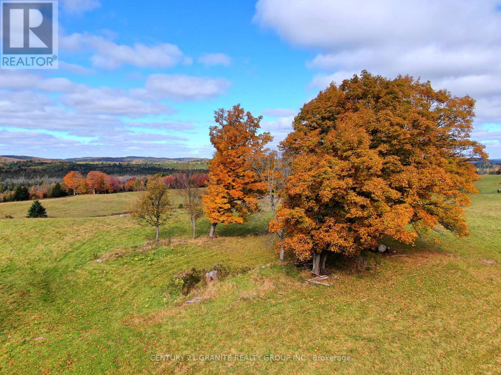 0 Detlor Road, Bancroft, Ontario  K0L 2L0 - Photo 21 - X9391655