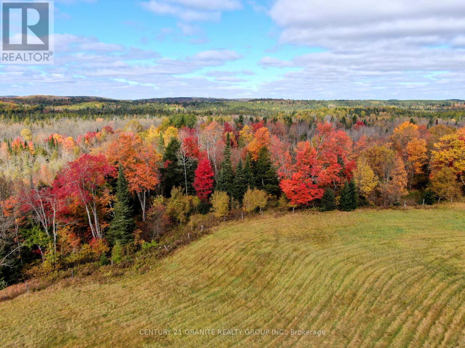 0 Detlor Road, Bancroft, Ontario  K0L 2L0 - Photo 7 - X9391655