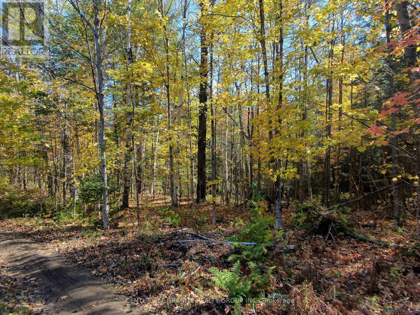 26457 Hwy 62 S, Bancroft, Ontario  K0L 1C0 - Photo 12 - X9392450