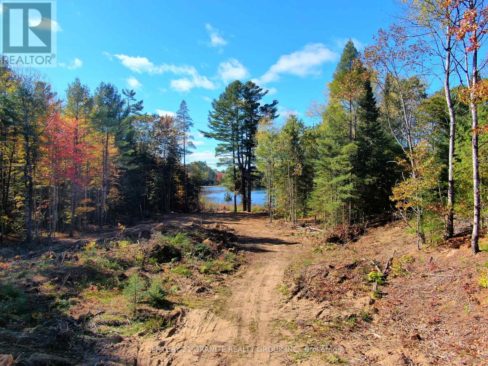 26457 Hwy 62 S, Bancroft, Ontario  K0L 1C0 - Photo 13 - X9392450