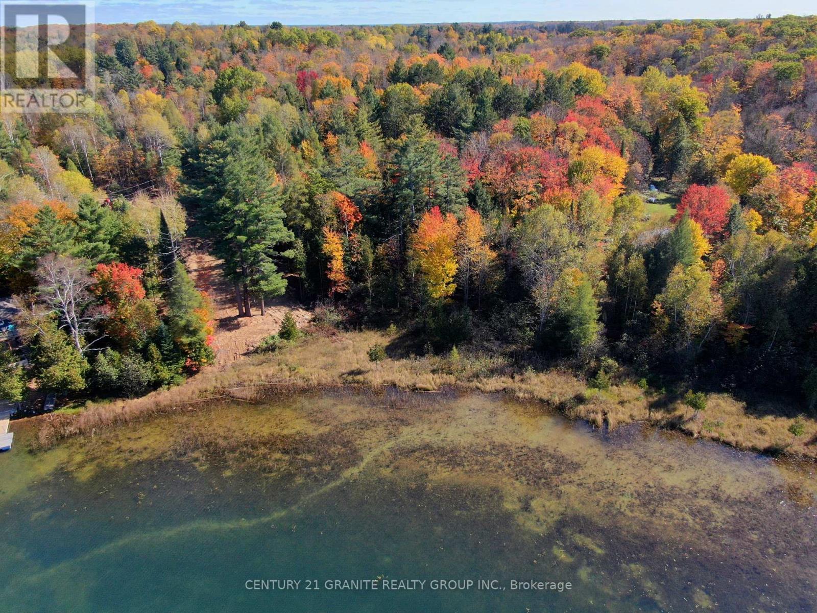 26457 Hwy 62 S, Bancroft, Ontario  K0L 1C0 - Photo 16 - X9392450