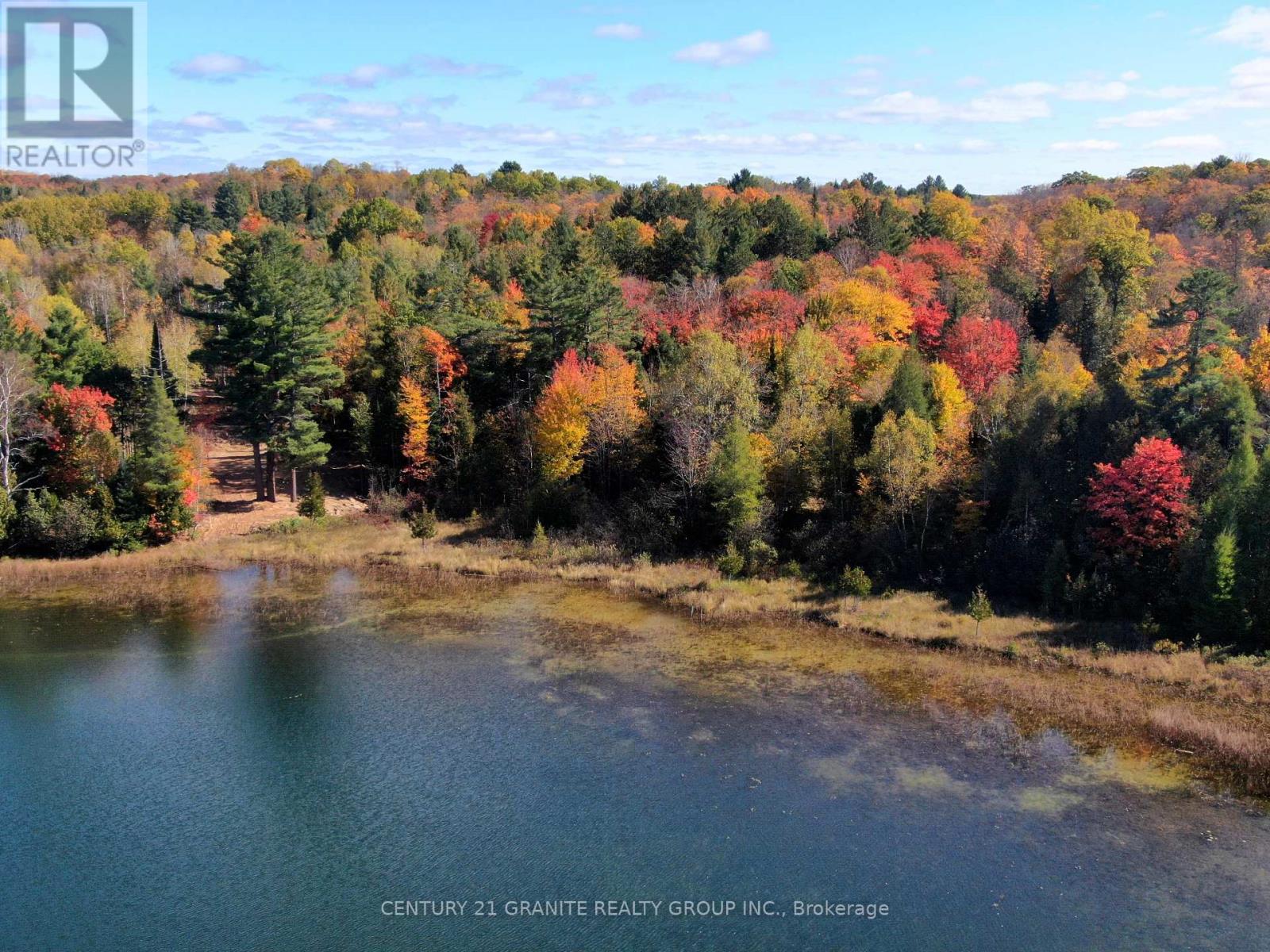 26457 Hwy 62 S, Bancroft, Ontario  K0L 1C0 - Photo 18 - X9392450