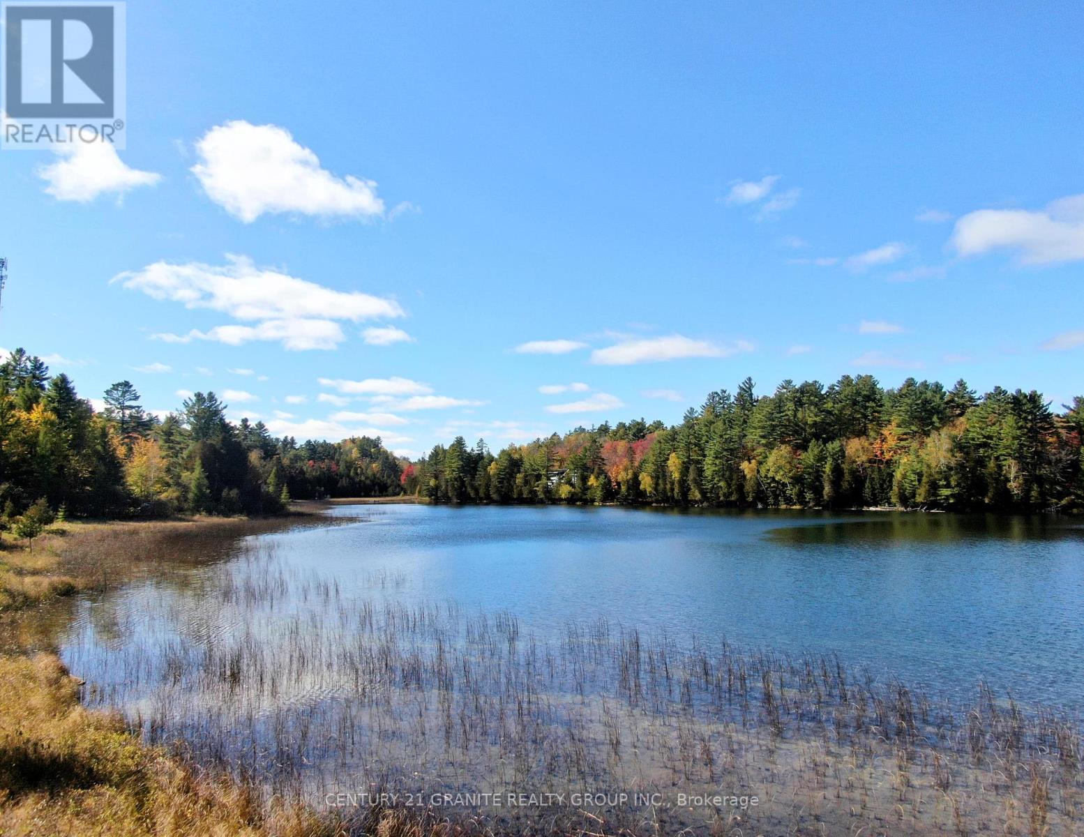 26457 Hwy 62 S, Bancroft, Ontario  K0L 1C0 - Photo 22 - X9392450