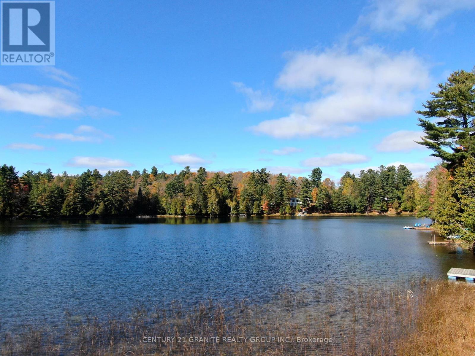 26457 Hwy 62 S, Bancroft, Ontario  K0L 1C0 - Photo 23 - X9392450