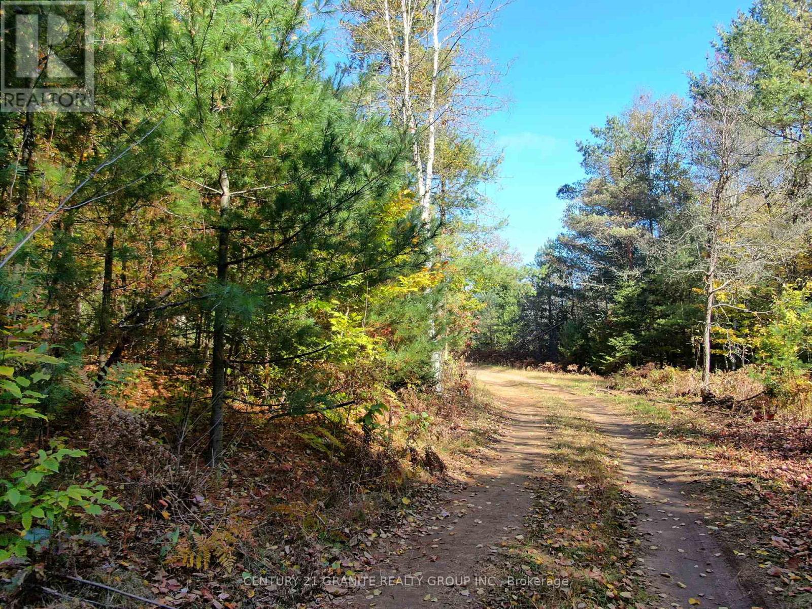 26457 Hwy 62 S, Bancroft, Ontario  K0L 1C0 - Photo 27 - X9392450