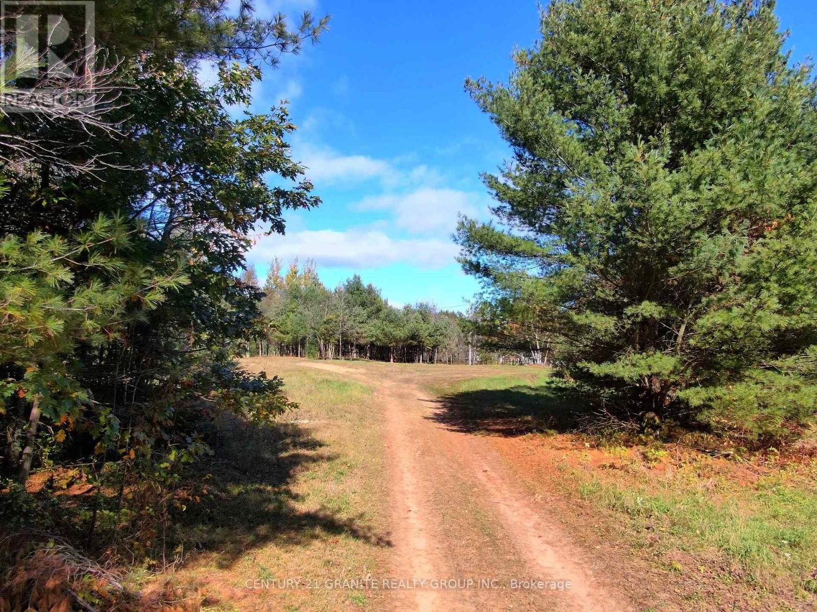 26457 Hwy 62 S, Bancroft, Ontario  K0L 1C0 - Photo 28 - X9392450