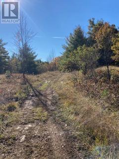 Conc 6 Lot 21, Havelock-Belmont-Methuen, Ontario  K0L 1Z0 - Photo 5 - X9416300