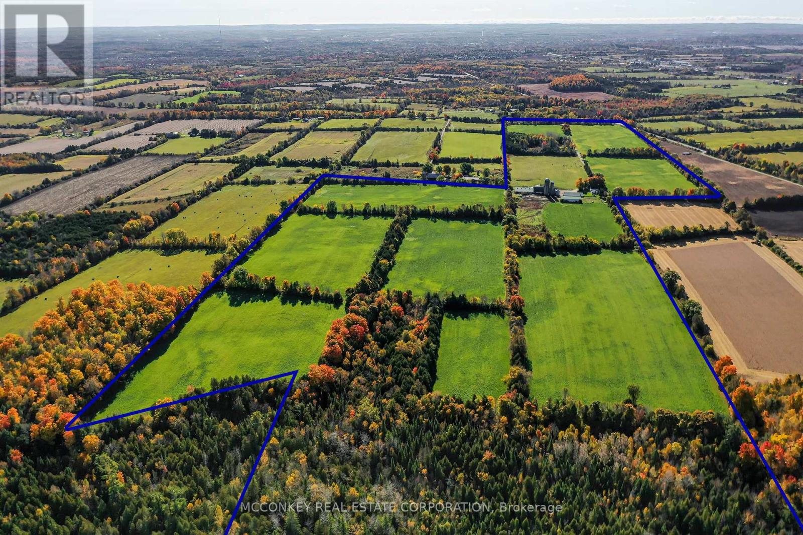 1048 Fifth Line, Smith-Ennismore-Lakefield, Ontario  K9J 6X2 - Photo 5 - X9416655