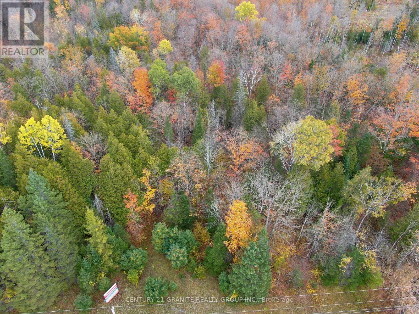 Lt13-14 Highway 62 S, Tudor & Cashel, Ontario  K0L 1C0 - Photo 3 - X9419161