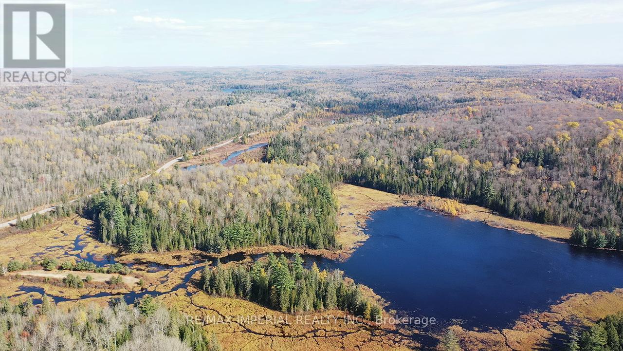 1379b Peterson Road, Hastings Highlands, Ontario  K0L 2S0 - Photo 11 - X9507264