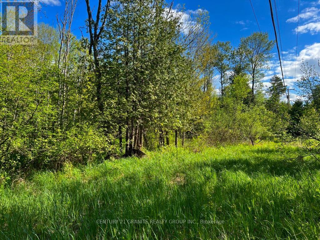 0 Weslemkoon Lake Road, Tudor & Cashel, Ontario  K0L 1W0 - Photo 8 - X9509893