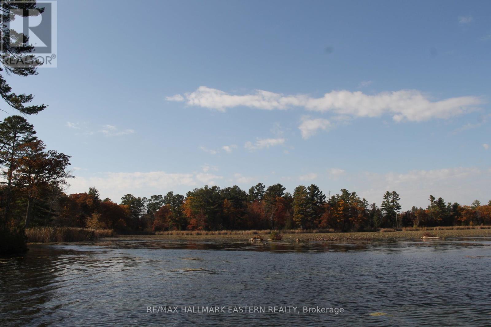 Lots123 - C280 Lower Buckhorn Lake, Galway-Cavendish And Harvey, Ontario  K0L 1J0 - Photo 10 - X9510150