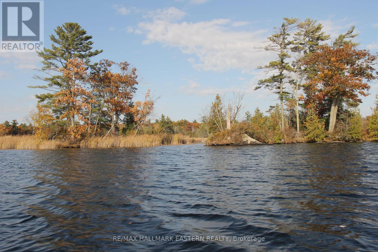 Lots123 - C280 Lower Buckhorn Lake, Galway-Cavendish And Harvey, Ontario  K0L 1J0 - Photo 16 - X9510150