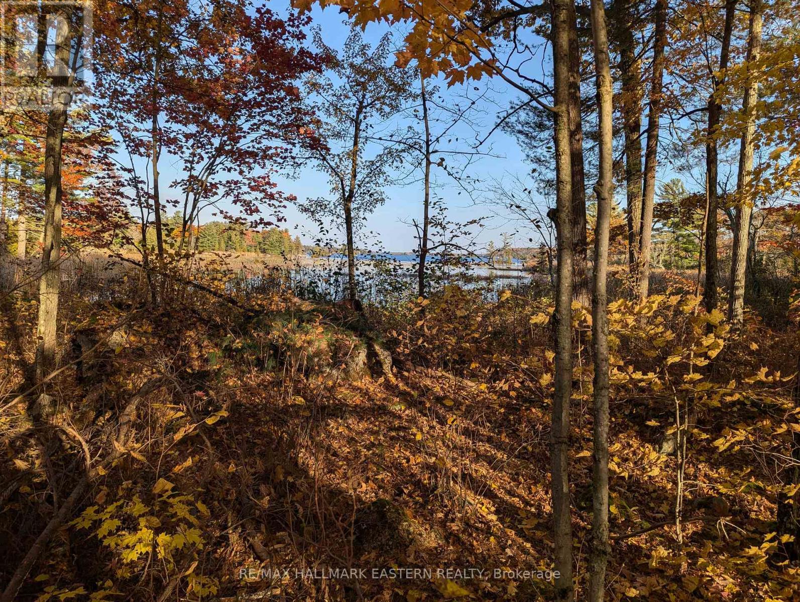 Lots123 - C280 Lower Buckhorn Lake, Galway-Cavendish And Harvey, Ontario  K0L 1J0 - Photo 17 - X9510150