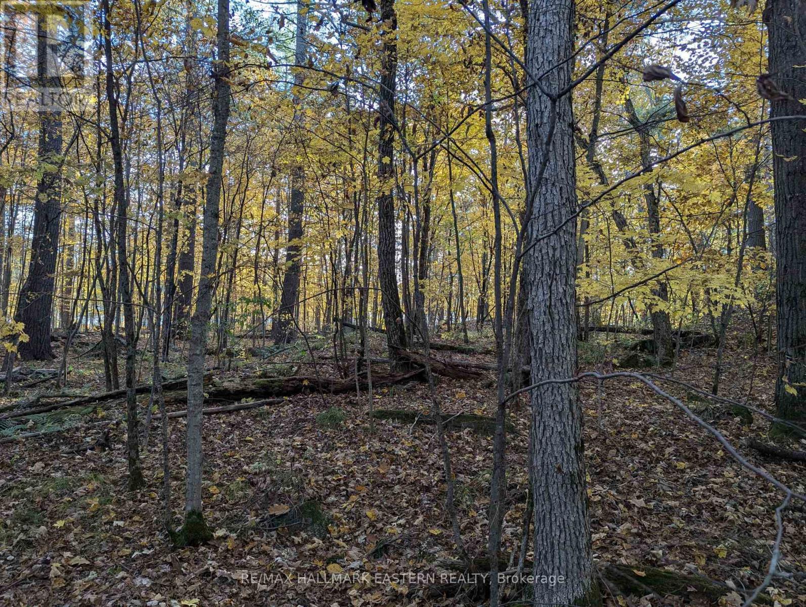 Lots123 - C280 Lower Buckhorn Lake, Galway-Cavendish And Harvey, Ontario  K0L 1J0 - Photo 20 - X9510150